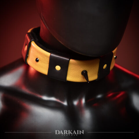 Stinger Collar